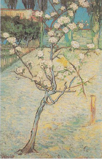 Vincent Van Gogh Flowering Pear-Tree China oil painting art